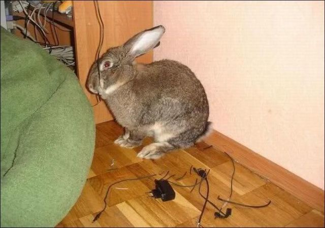 Bildschirmarbeiter - Picdump 26.08.2011