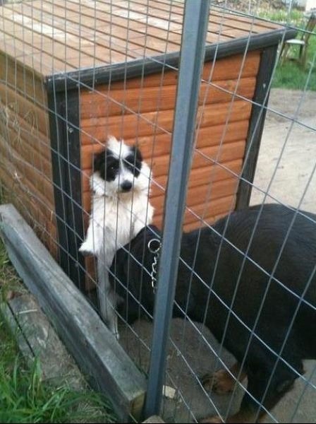 Bildschirmarbeiter - Picdump 26.08.2011