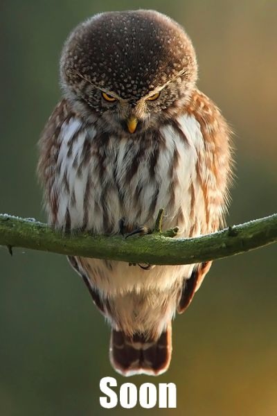 Bildschirmarbeiter - Picdump 26.08.2011