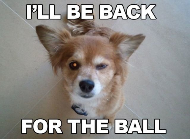 Bildschirmarbeiter - Picdump 26.08.2011