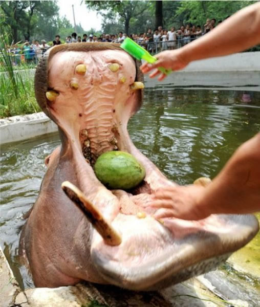 Bildschirmarbeiter - Picdump 26.08.2011