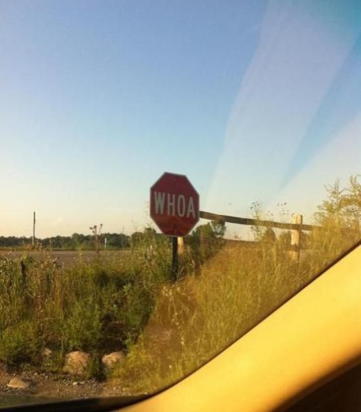 Bildschirmarbeiter - Picdump 26.08.2011