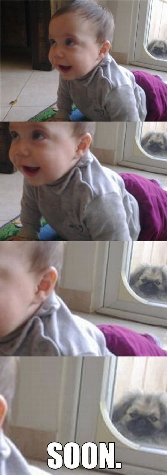 Bildschirmarbeiter - Picdump 26.08.2011