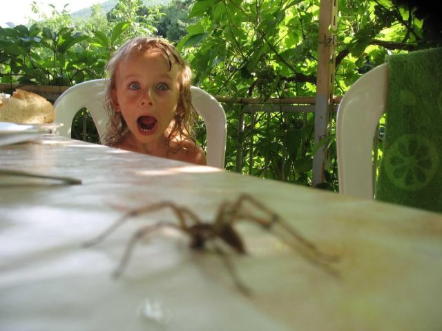 Bildschirmarbeiter - Picdump 02.09.2011