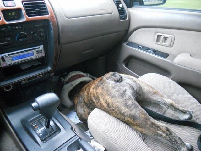 Bildschirmarbeiter - Picdump 02.09.2011