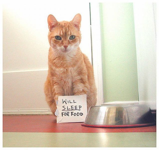 Bildschirmarbeiter - Picdump 02.09.2011