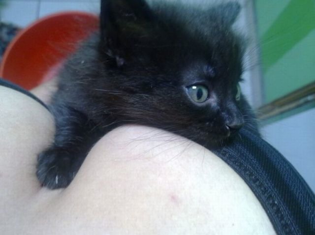 Bildschirmarbeiter - Picdump 02.09.2011