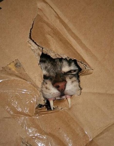 Bildschirmarbeiter - Picdump 02.09.2011