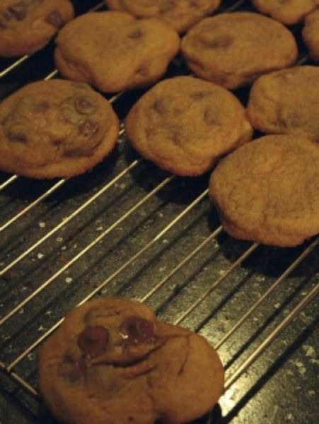 Bildschirmarbeiter - Picdump 02.09.2011