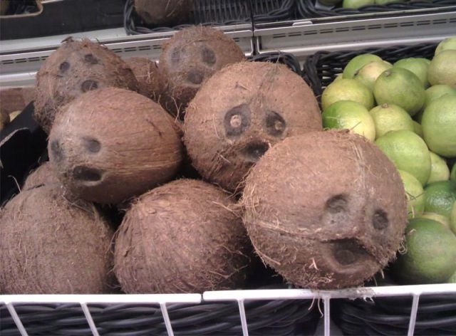 Bildschirmarbeiter - Picdump 02.09.2011