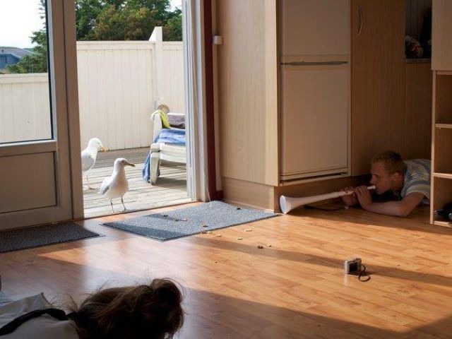 Bildschirmarbeiter - Picdump 02.09.2011