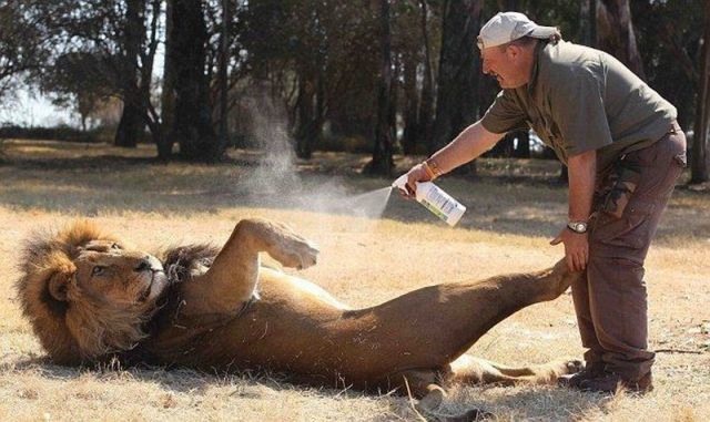 Bildschirmarbeiter - Picdump 02.09.2011