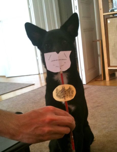 Bildschirmarbeiter - Picdump 02.09.2011