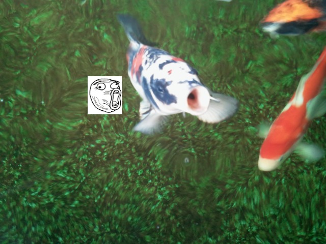 Bildschirmarbeiter - Picdump 02.09.2011