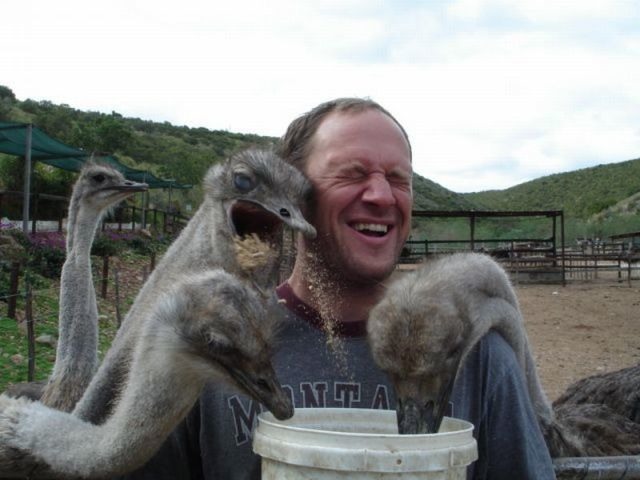 Bildschirmarbeiter - Picdump 09.09.2011