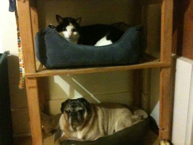 Bildschirmarbeiter - Picdump 09.09.2011