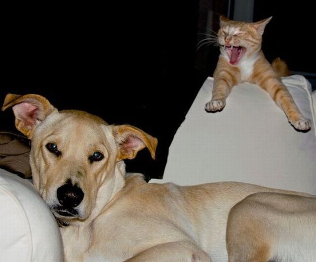 Bildschirmarbeiter - Picdump 09.09.2011