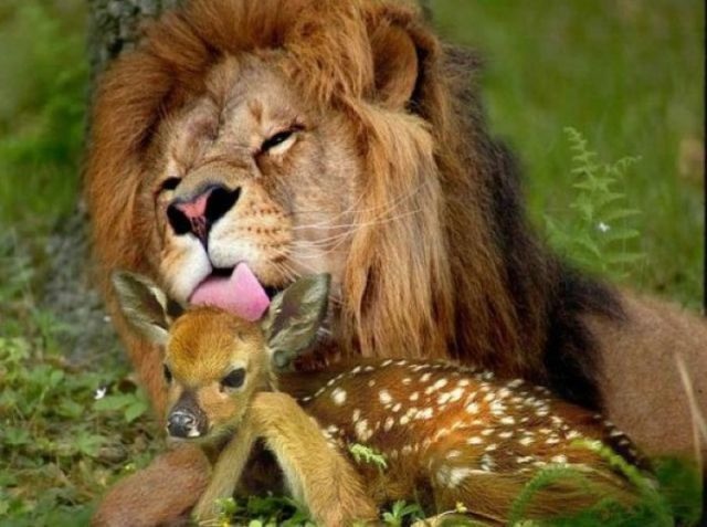 Bildschirmarbeiter - Picdump 09.09.2011