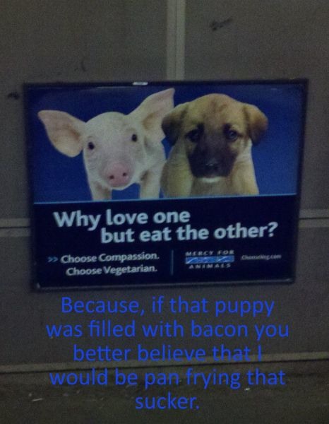 Bildschirmarbeiter - Picdump 09.09.2011