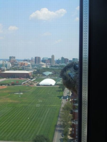 Bildschirmarbeiter - Picdump 16.09.2011