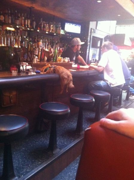 Bildschirmarbeiter - Picdump 16.09.2011