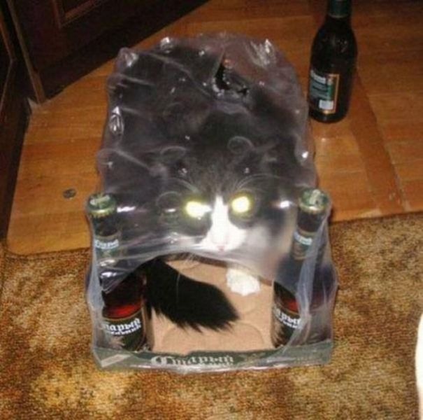 Bildschirmarbeiter - Picdump 23.09.2011