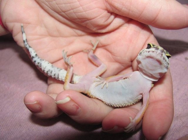 Bildschirmarbeiter - Picdump 23.09.2011