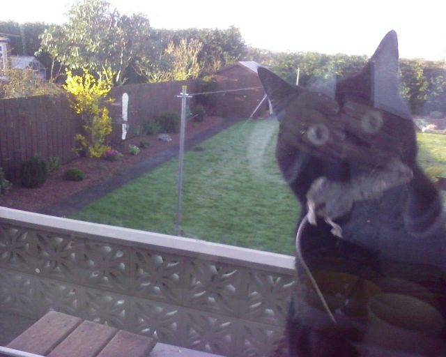 Bildschirmarbeiter - Picdump 23.09.2011