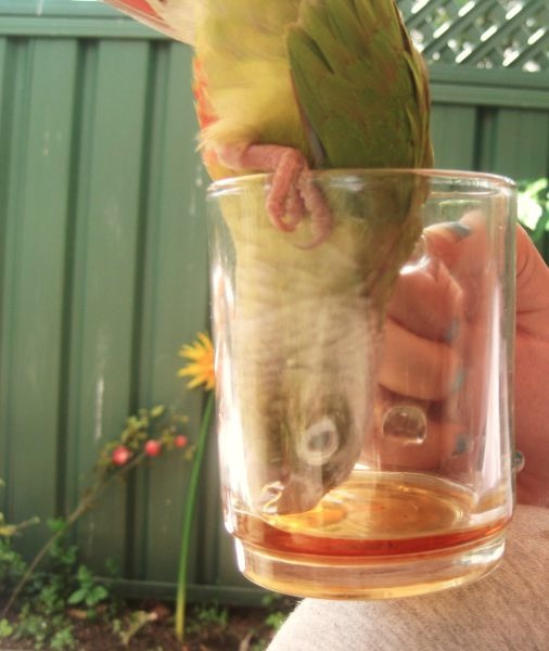 Bildschirmarbeiter - Picdump 30.09.2011