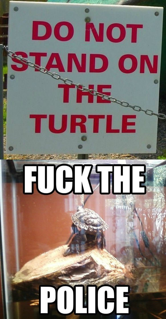 Bildschirmarbeiter - Picdump 30.09.2011