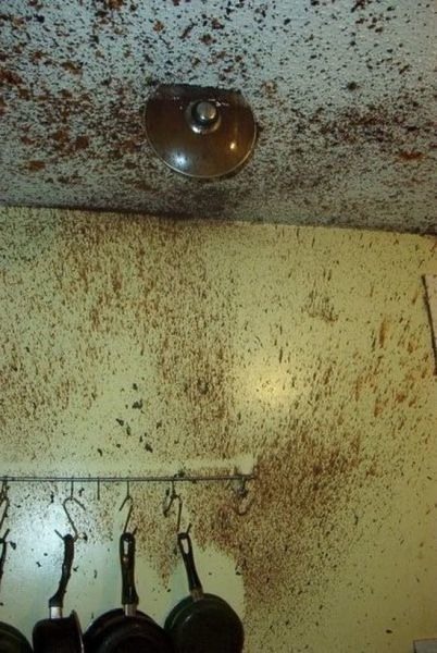 Bildschirmarbeiter - Picdump 30.09.2011