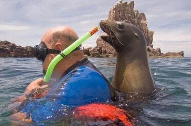 Bildschirmarbeiter - Picdump 30.09.2011