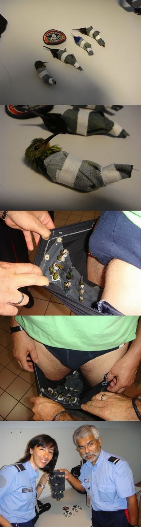 Bildschirmarbeiter - Picdump 30.09.2011