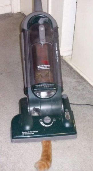 Bildschirmarbeiter - Picdump 14.10.2011