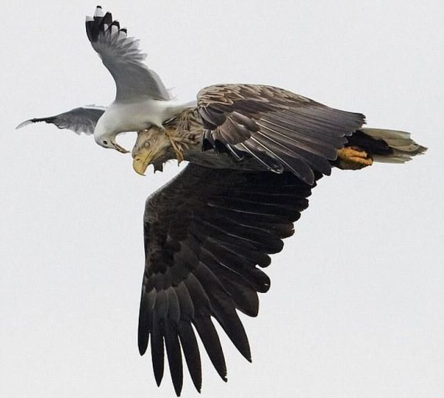 Bildschirmarbeiter - Picdump 14.10.2011