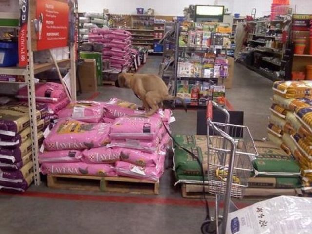 Bildschirmarbeiter - Picdump 14.10.2011