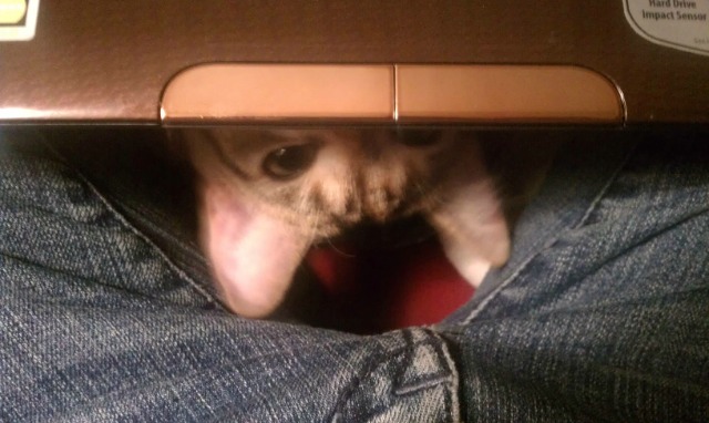 Bildschirmarbeiter - Picdump 21.10.2011