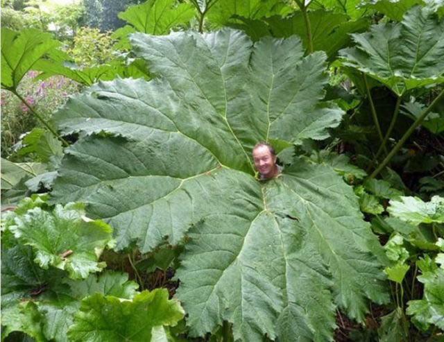 Bildschirmarbeiter - Picdump 21.10.2011