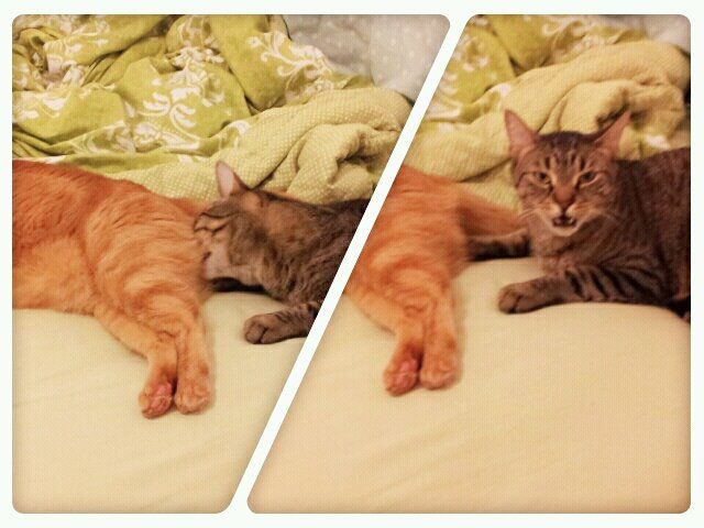 Bildschirmarbeiter - Picdump 21.10.2011