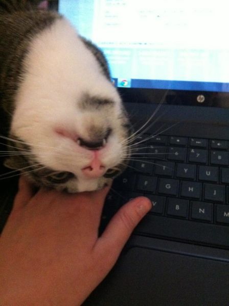 Bildschirmarbeiter - Picdump 21.10.2011