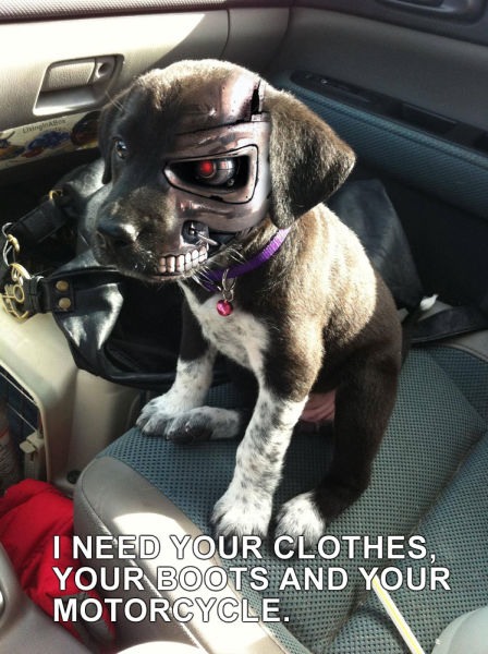 Bildschirmarbeiter - Picdump 21.10.2011