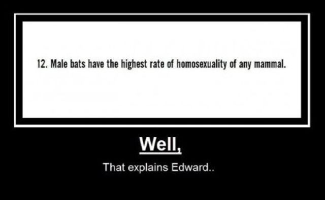 Bildschirmarbeiter - Picdump 21.10.2011