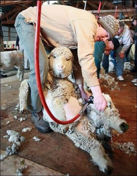 Bildschirmarbeiter - Picdump 21.10.2011