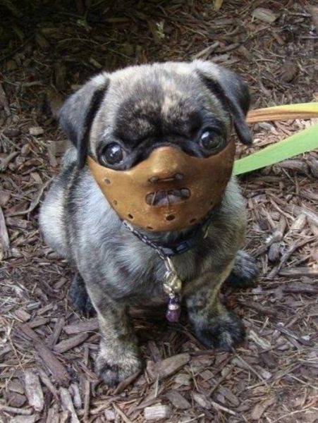 Bildschirmarbeiter - Picdump 28.10.2011