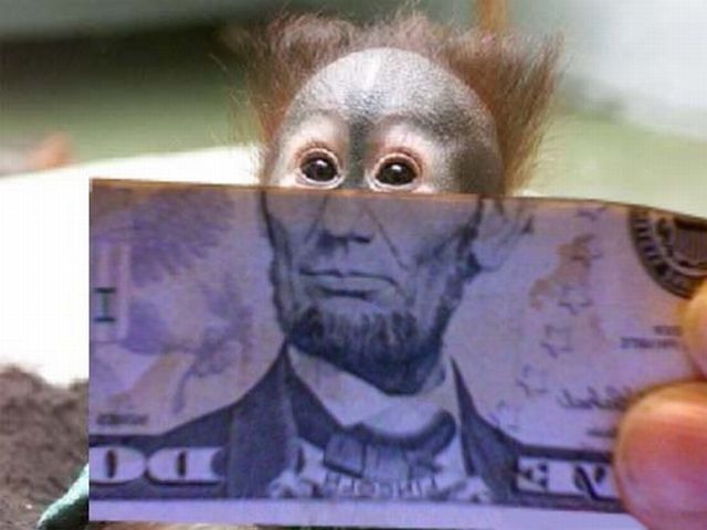 Bildschirmarbeiter - Picdump 28.10.2011