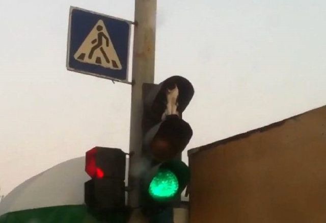 Bildschirmarbeiter - Picdump 28.10.2011