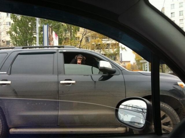 Bildschirmarbeiter - Picdump 28.10.2011