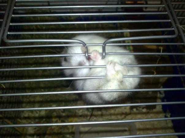 Bildschirmarbeiter - Picdump 04.11.2011