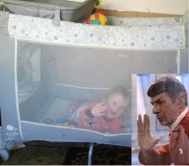 Bildschirmarbeiter - Picdump 04.11.2011