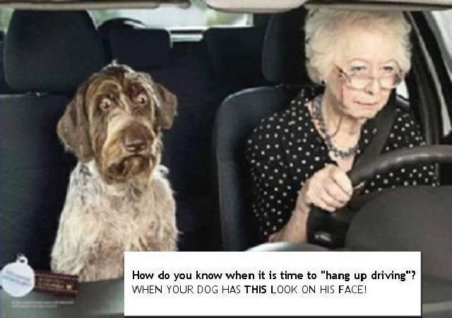 Bildschirmarbeiter - Picdump 04.11.2011